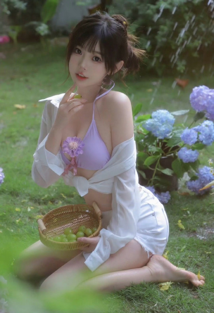 清平乐 封面