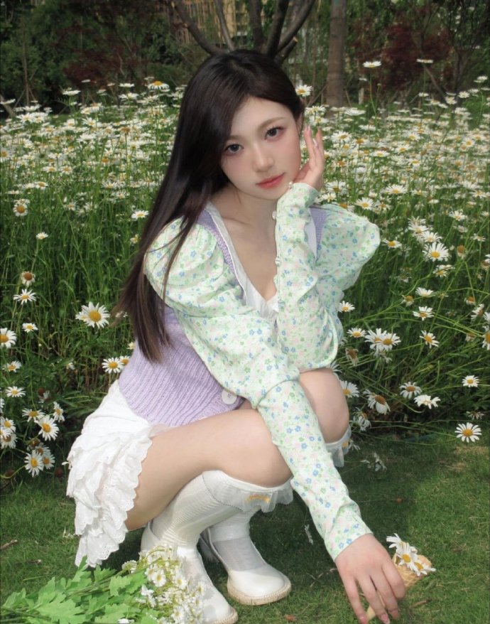 白莲花度假村 封面