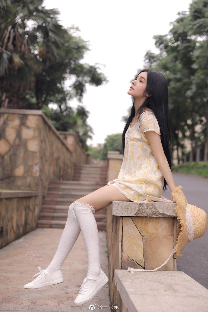 拿破仑 封面
