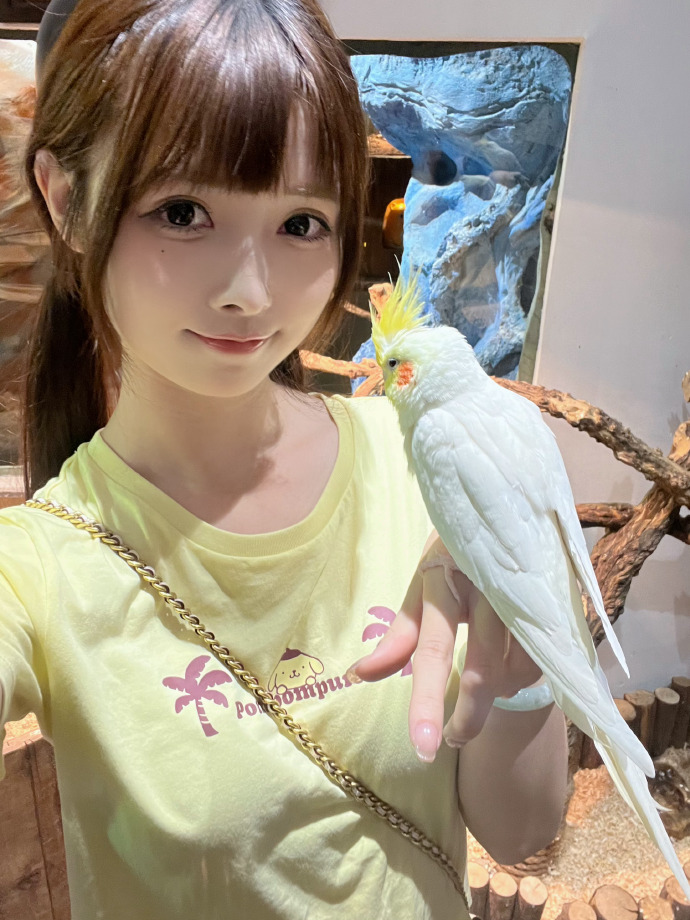 灌篮高手 封面