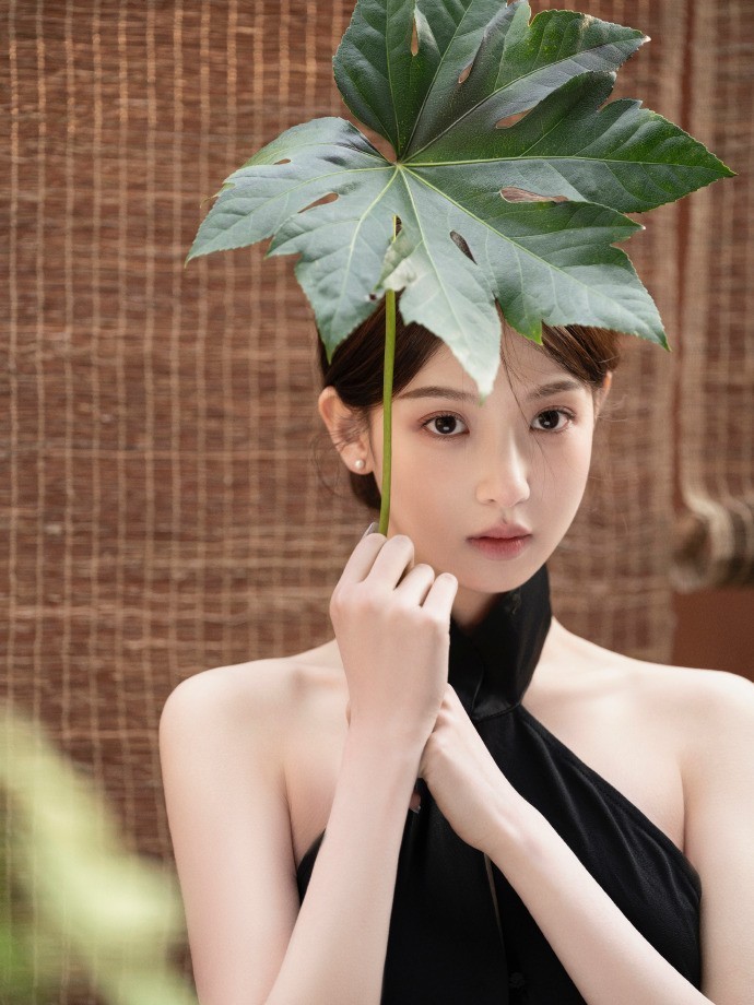 间谍过家家 封面