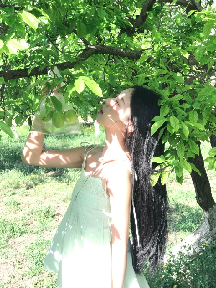 奇迹：给总统的一封信 封面