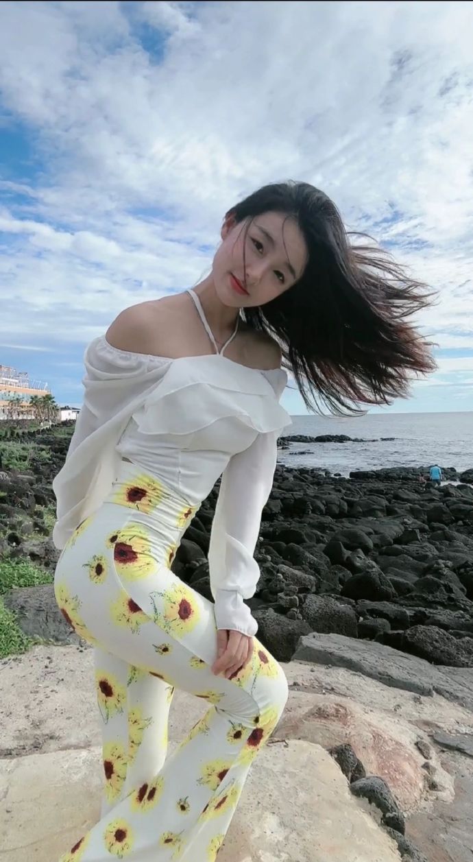 阳光普照 封面