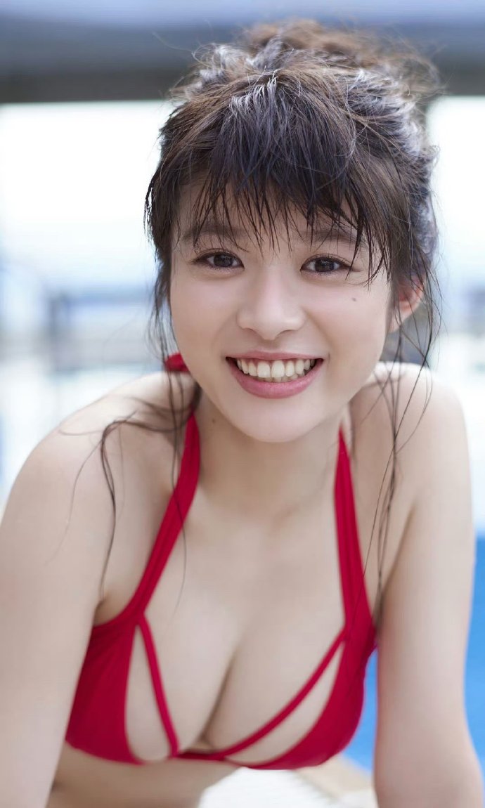 半岛 封面