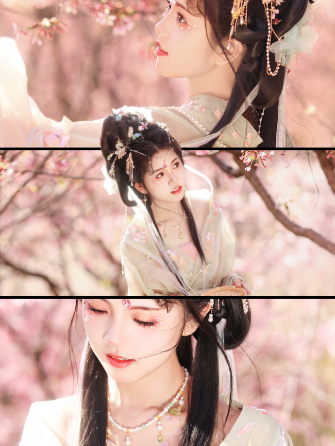 白莲花度假村 封面