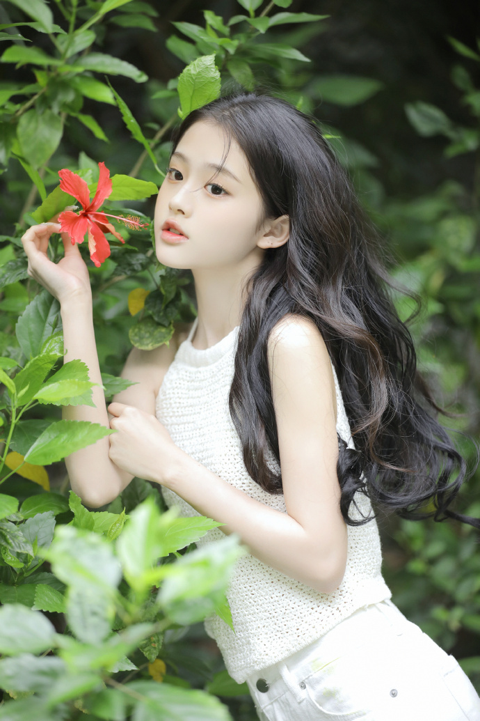 扫黑风暴
