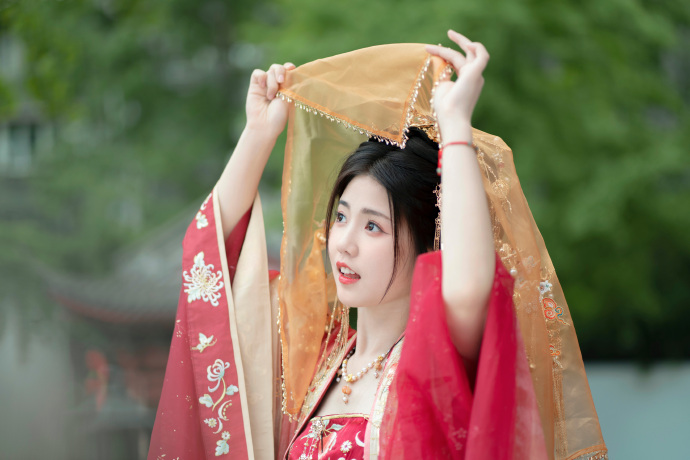我的阿勒泰 封面
