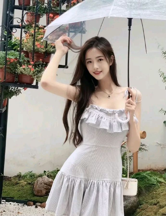我和我的家乡 封面