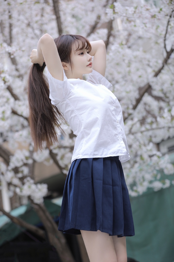 孤胆义侠 封面