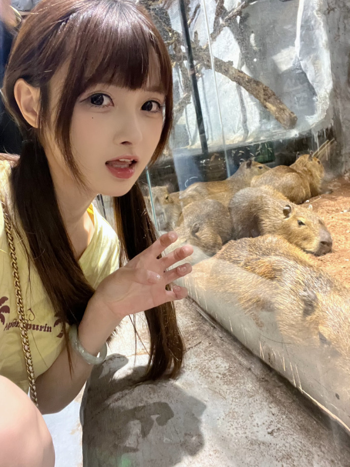云襄传 封面