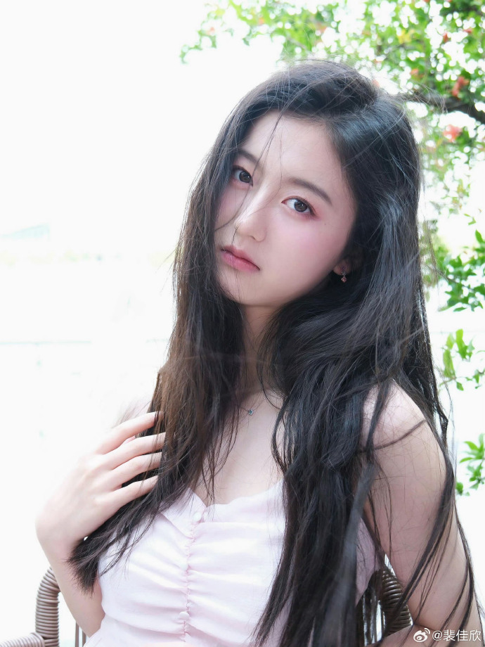 我的阿勒泰 封面