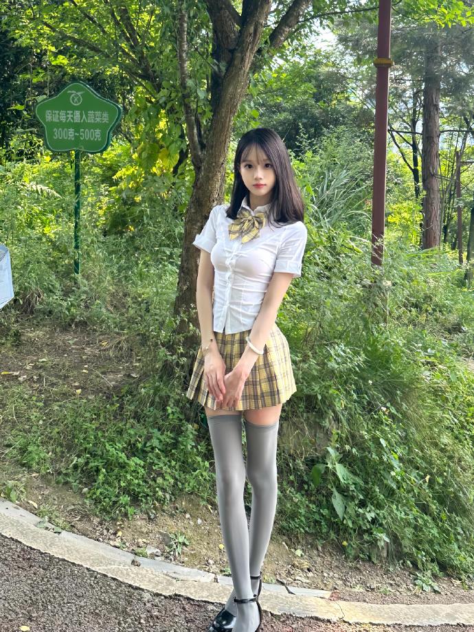 孤胆义侠 封面