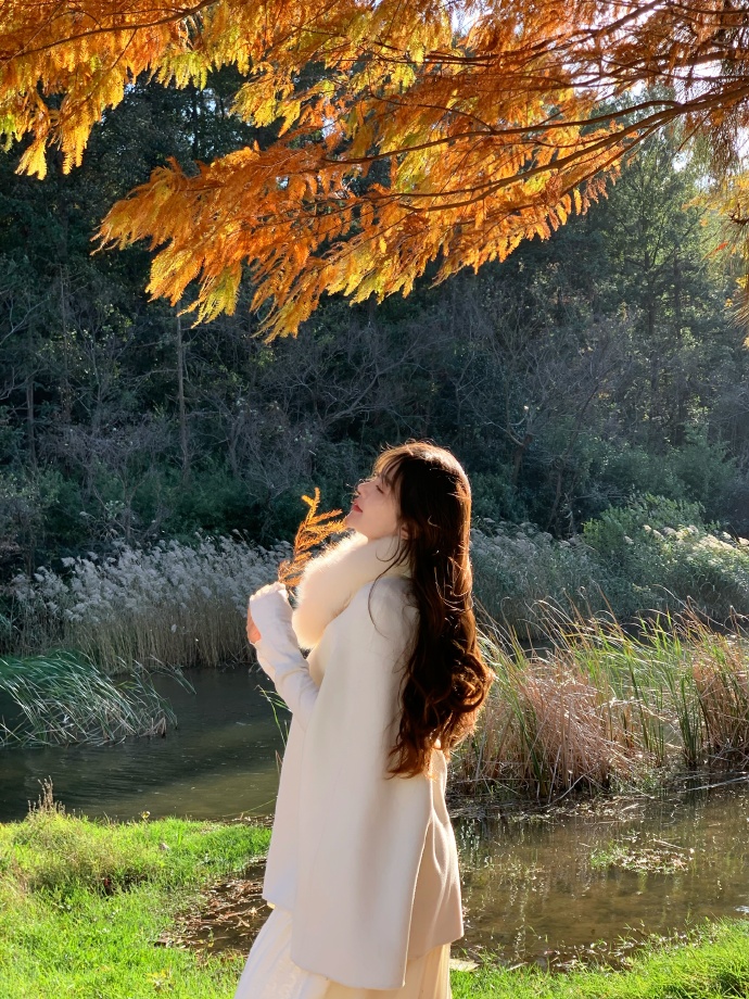 白莲花度假村 剧照