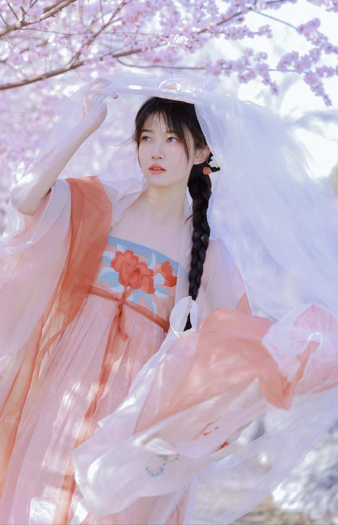 教父