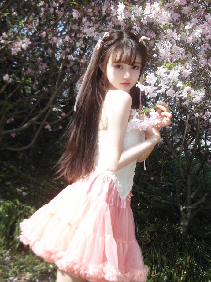 莲花楼 封面