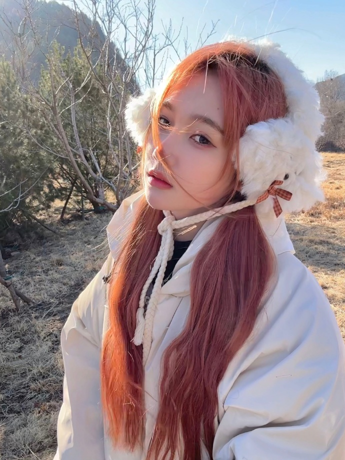 雪中悍刀行 封面