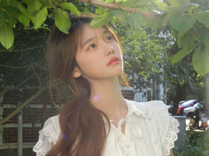 葬送的芙莉莲