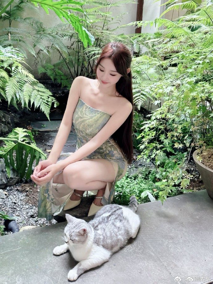 葬送的芙莉莲 剧照
