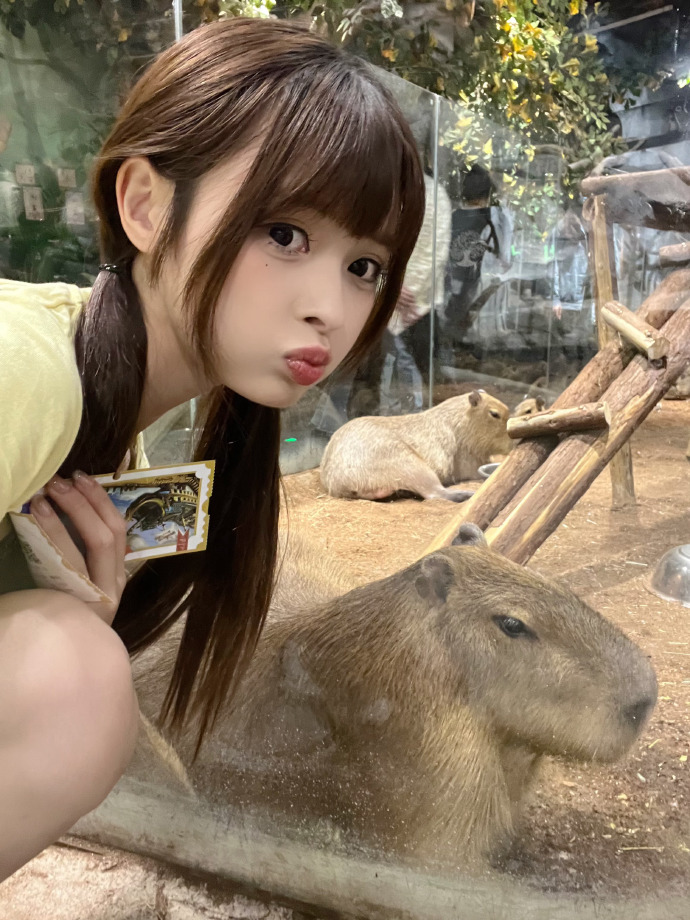 走走停停 封面