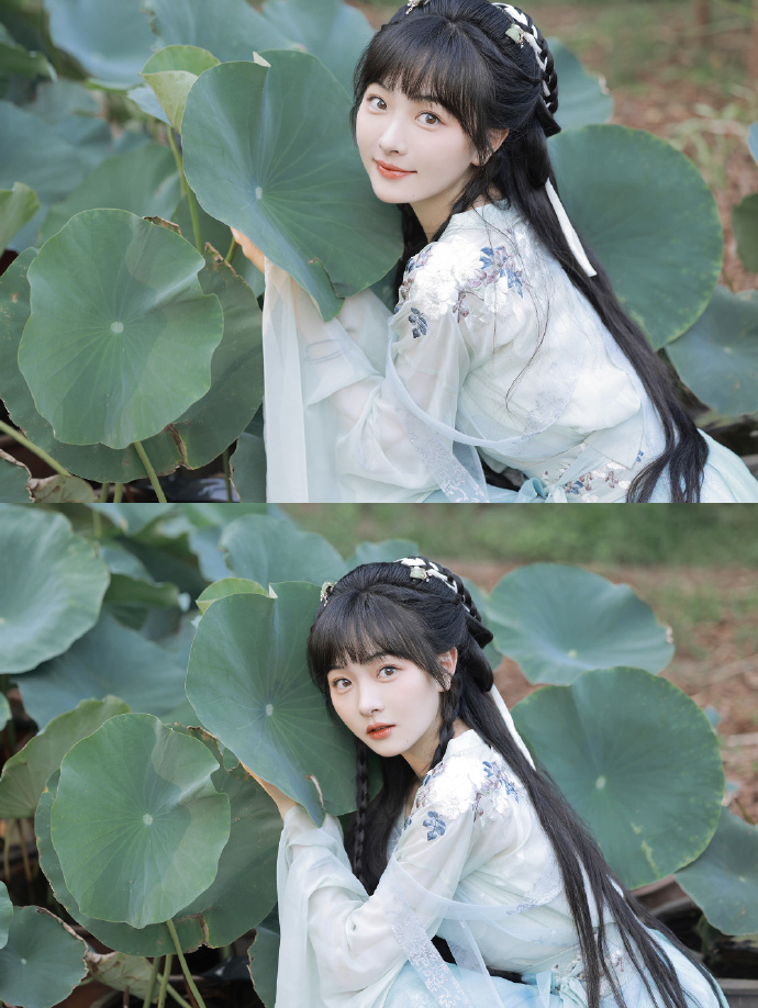 鬓边不是海棠红 封面