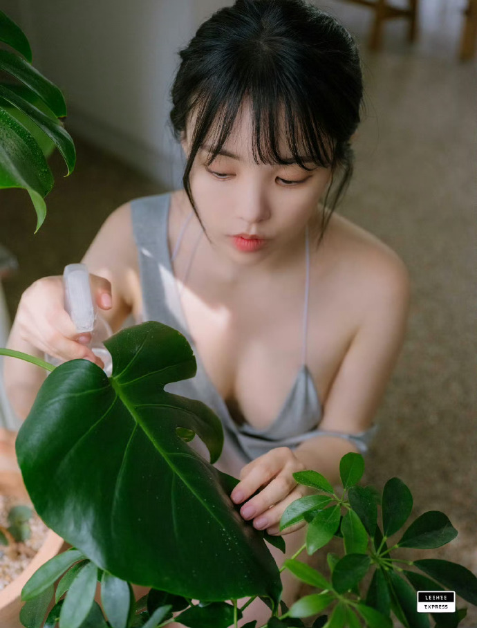 云襄传 封面