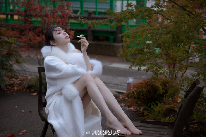 隐入尘烟 封面
