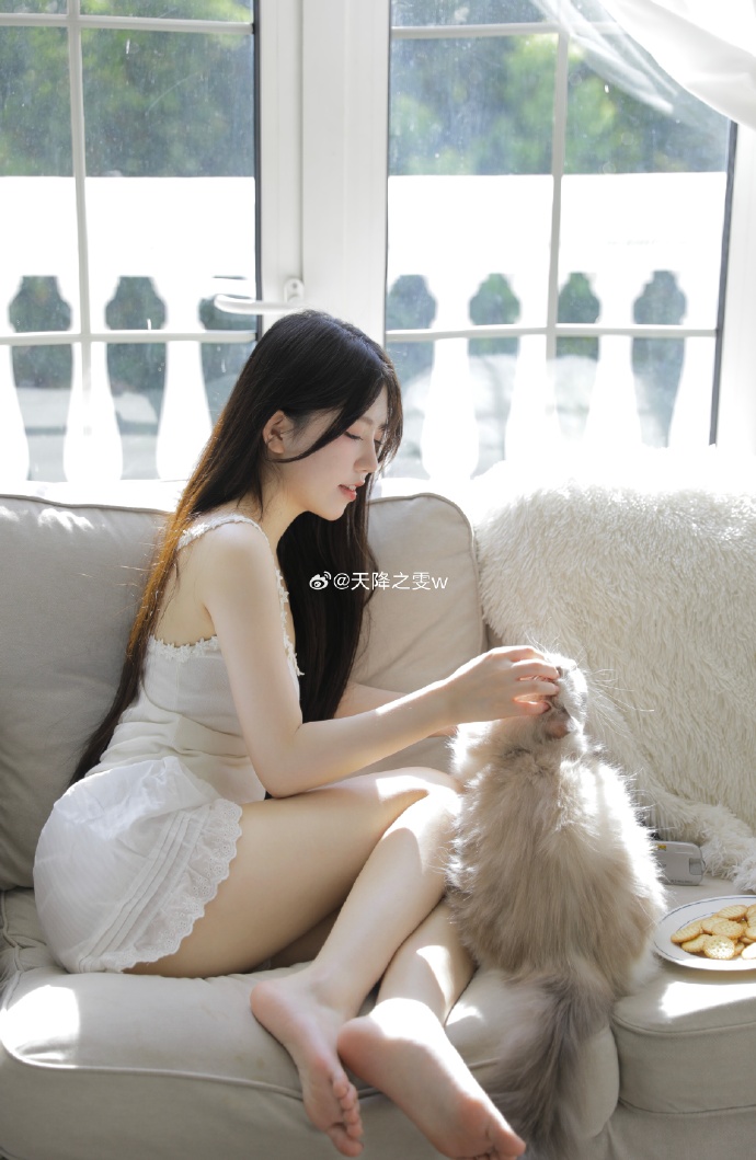 苍兰诀 封面