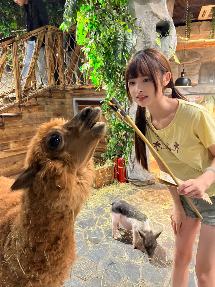 去有风的地方 封面