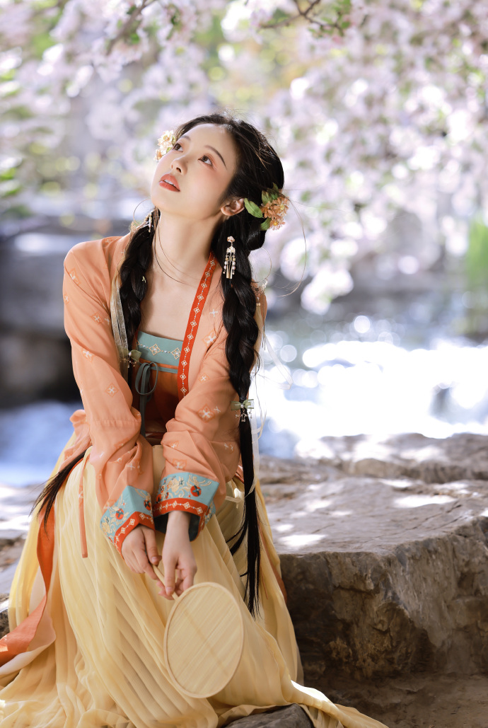 解剖大师