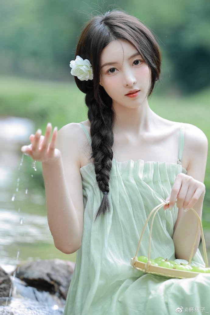 白莲花度假村 封面