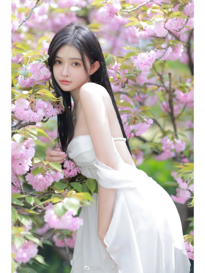 长月烬明 封面