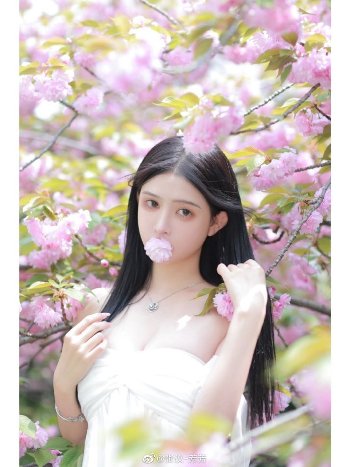 奇迹笨小孩