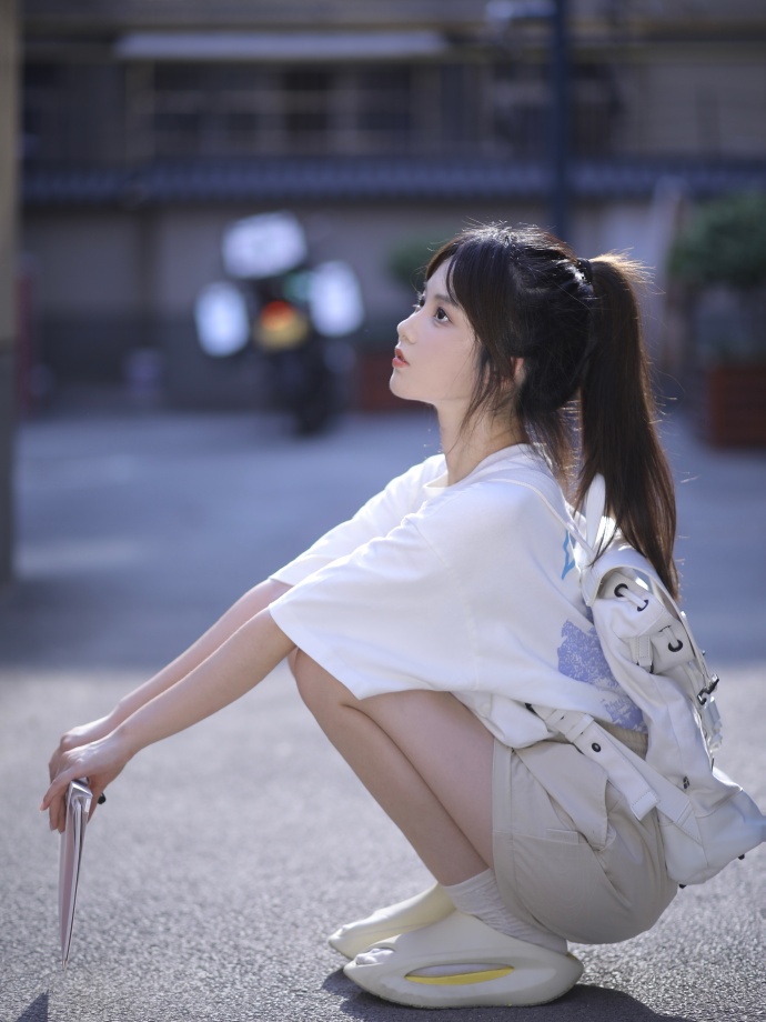 我的阿勒泰 封面