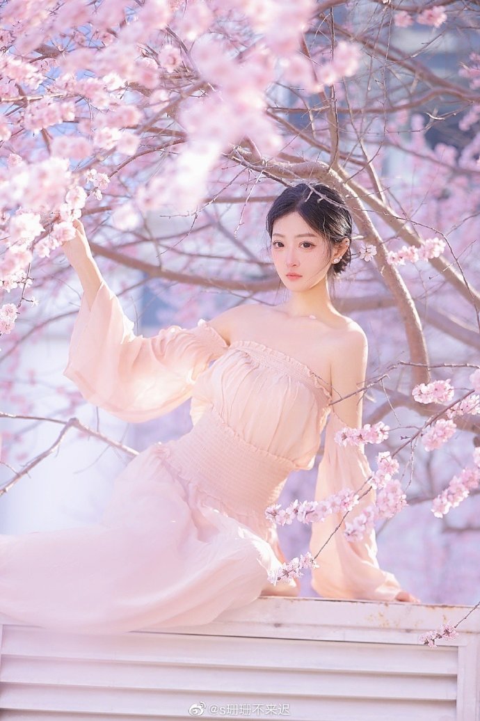 大豆田永久子与三颗星 封面