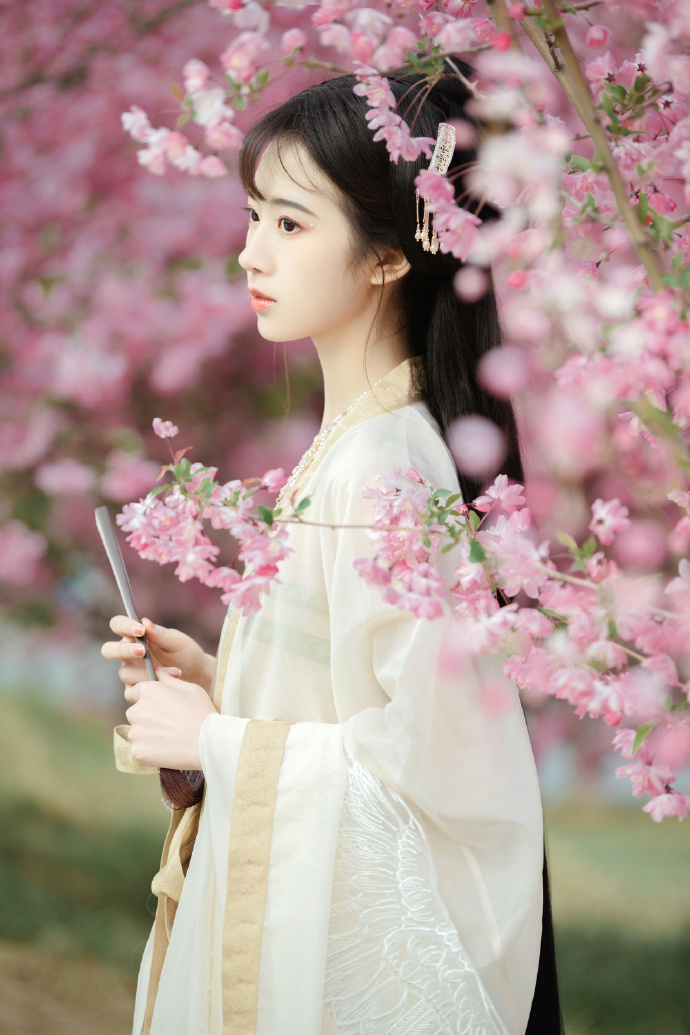 大豆田永久子与三颗星 封面