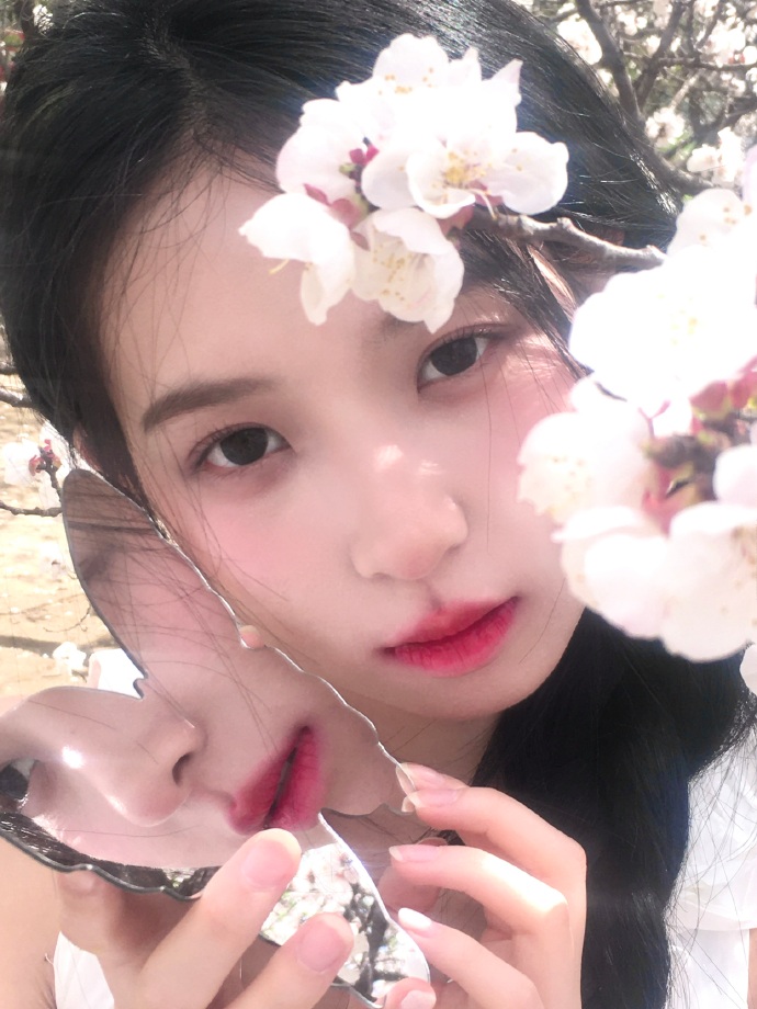 浪漫速成班 剧照
