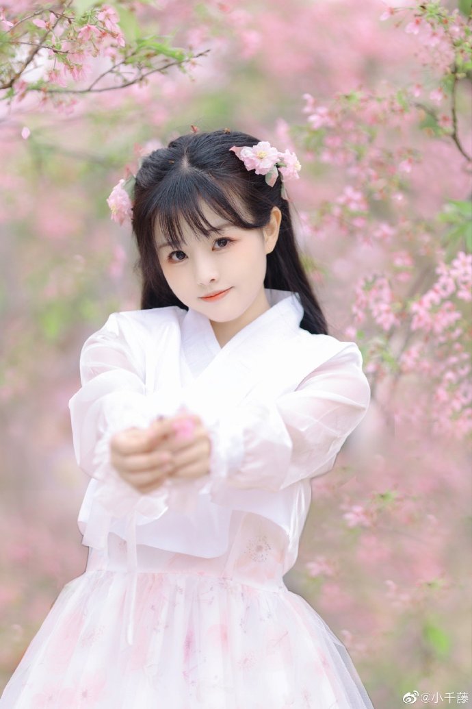 苍鹭与少年 封面