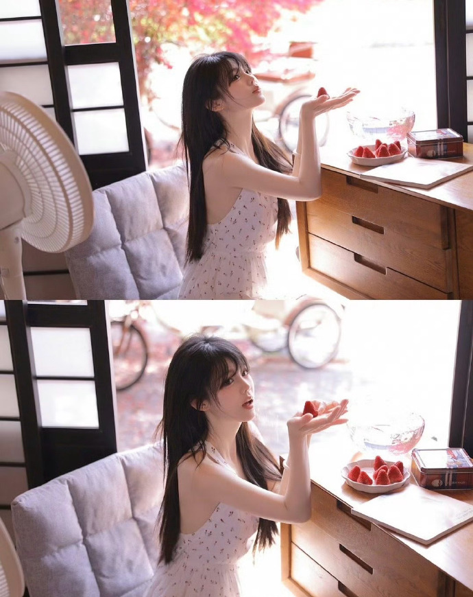白莲花度假村 封面