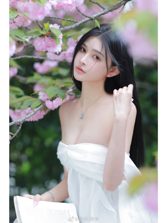 承欢记 封面