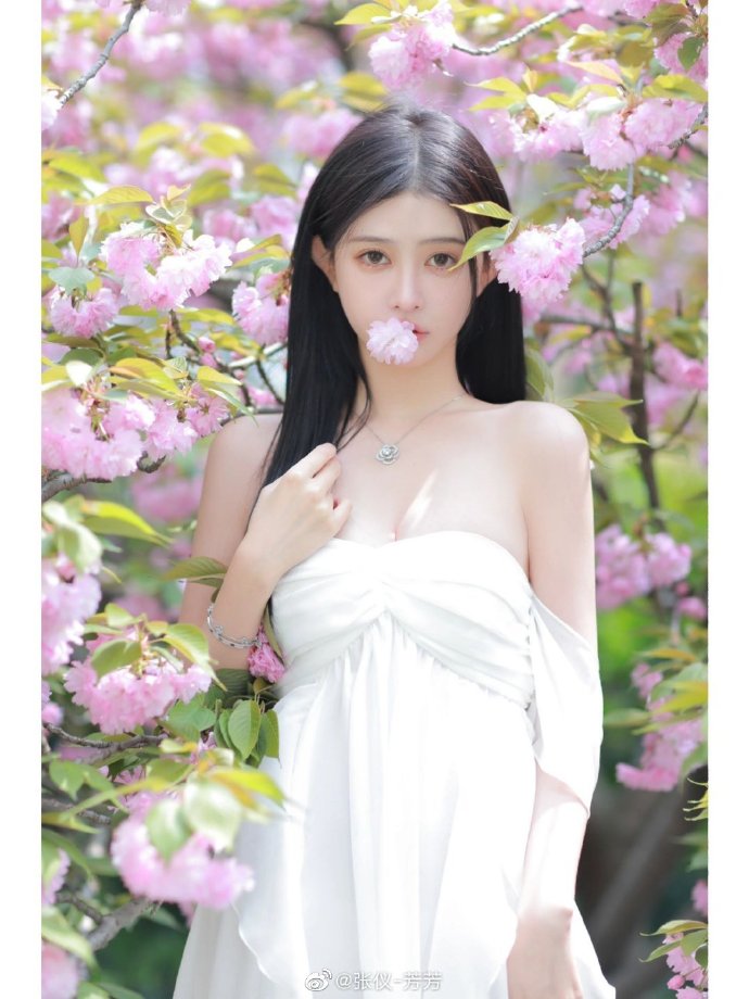 万里归途 剧照