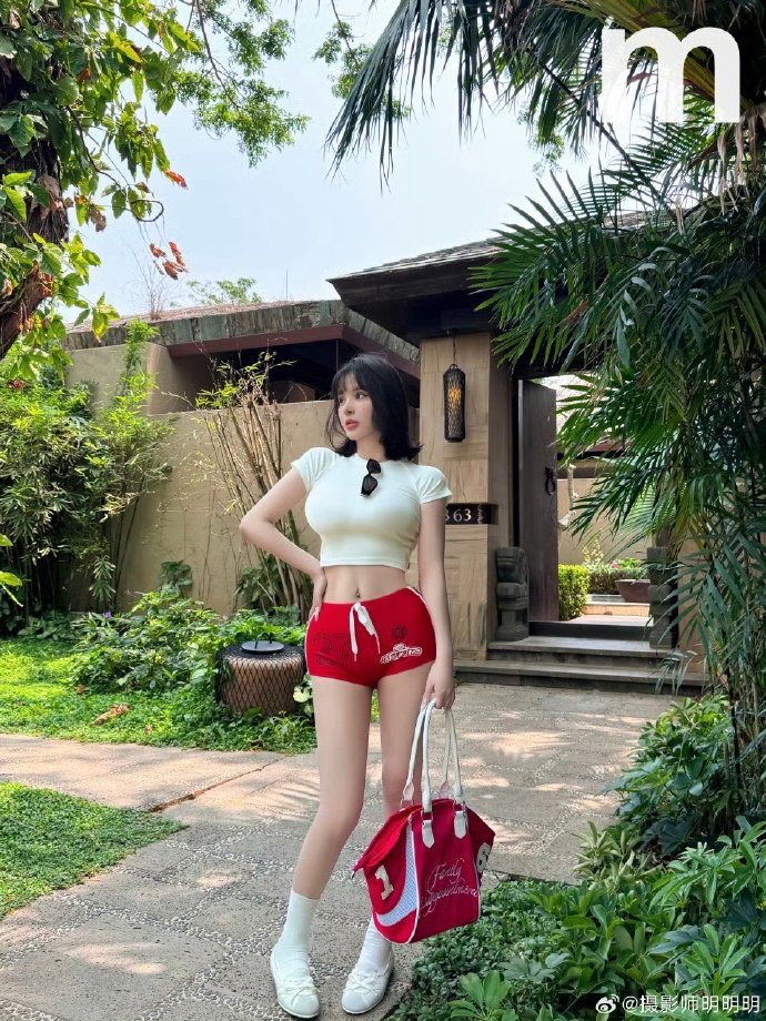 风起洛阳 封面