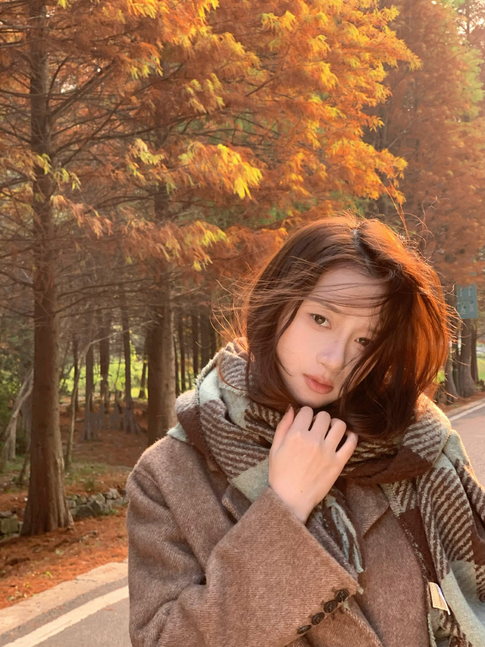 宁安如梦 封面