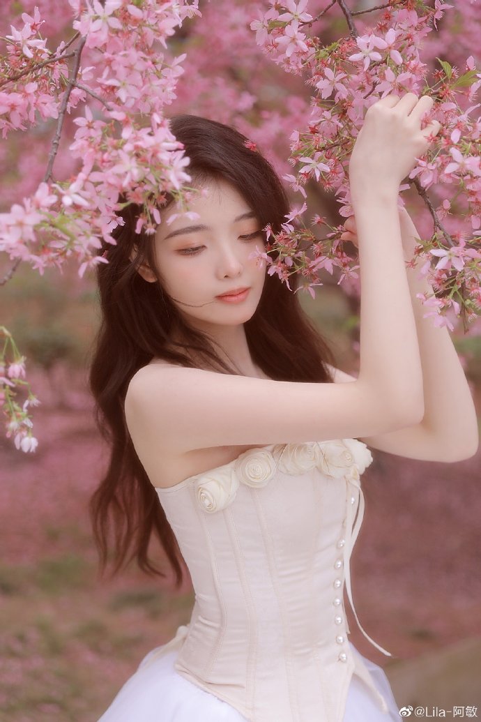 沿阶草 封面
